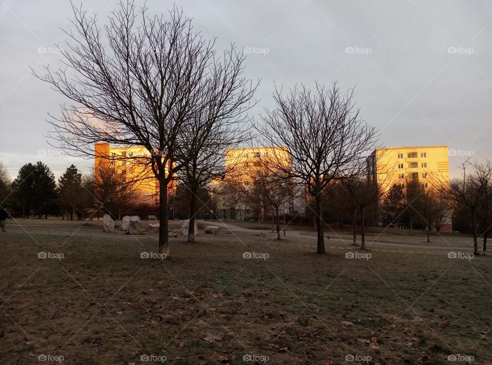 Passeggiare nel parco