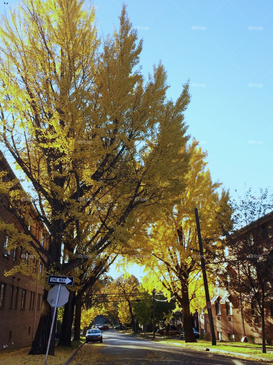 Walking on yellow street 