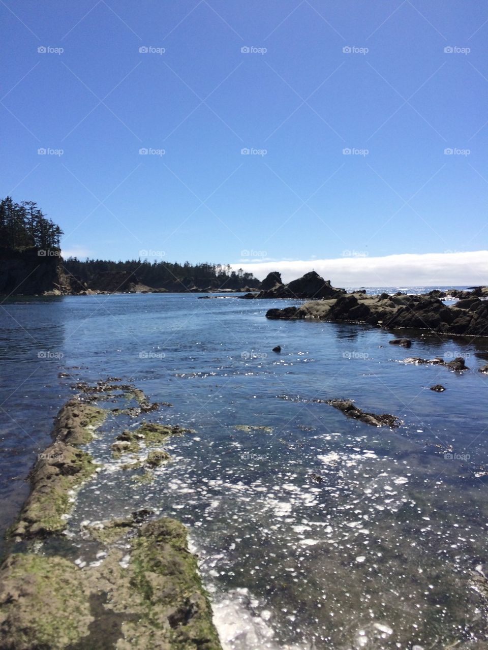 Sunset bay tide pools