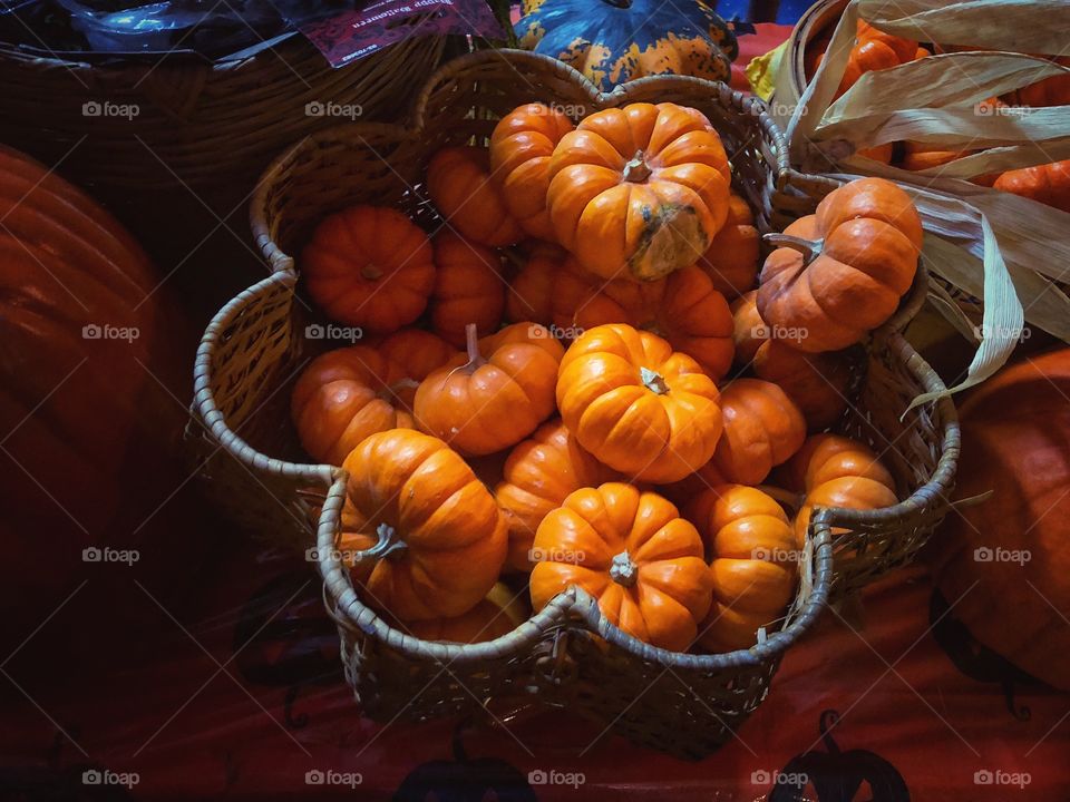 Pumpkins 