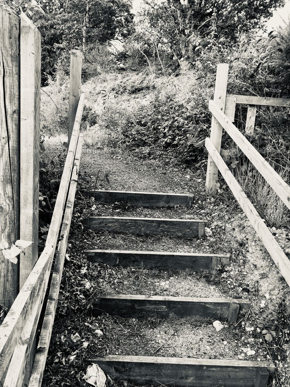 A black and white version of this country setting of these steps.