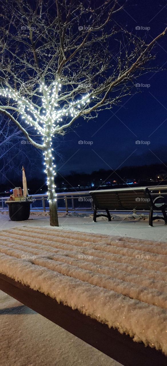 bench with a snow and a tree with decorations