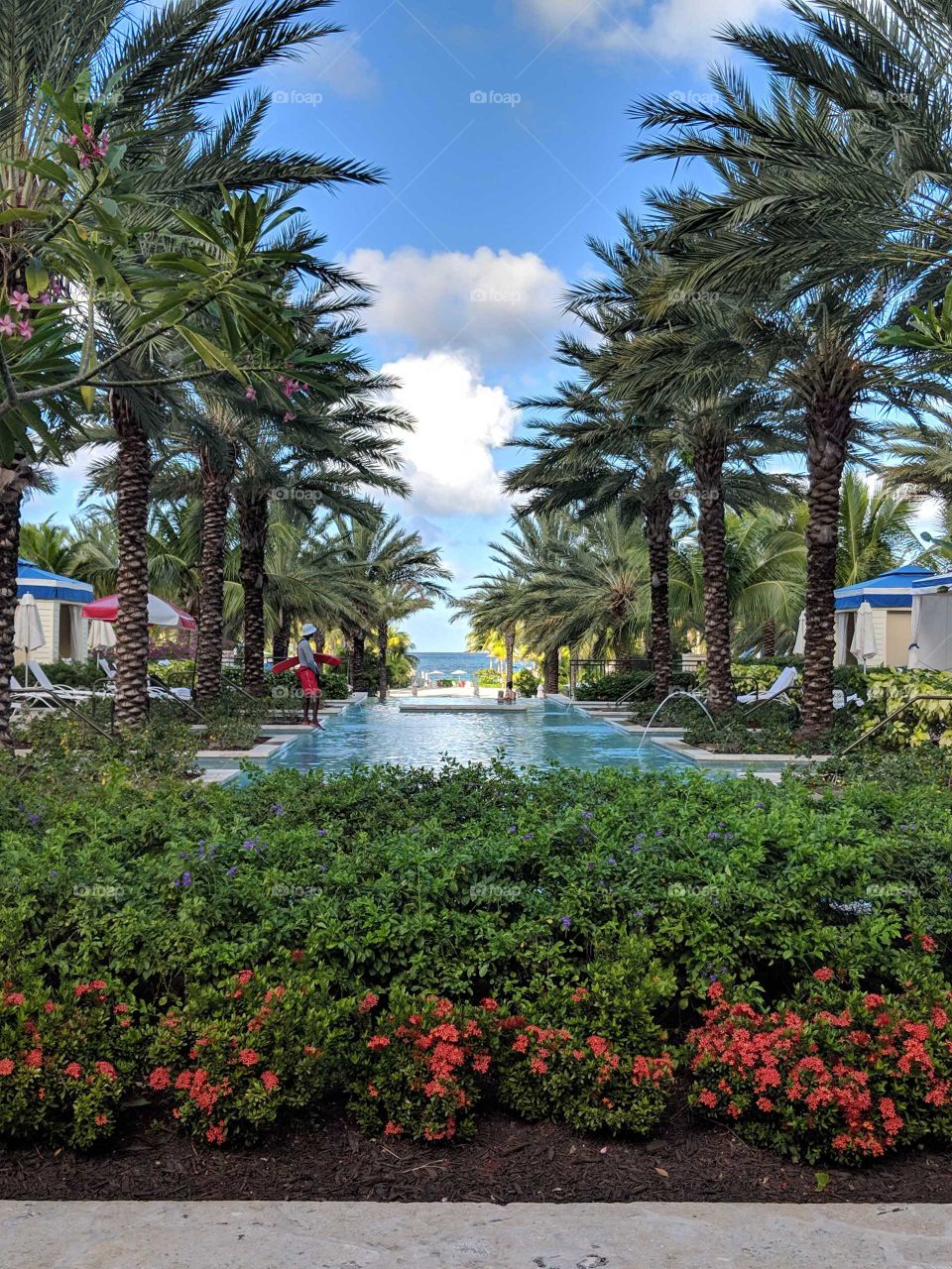 Resort views in The Bahamas. Palm trees, flowers, outdoor pool, beach side