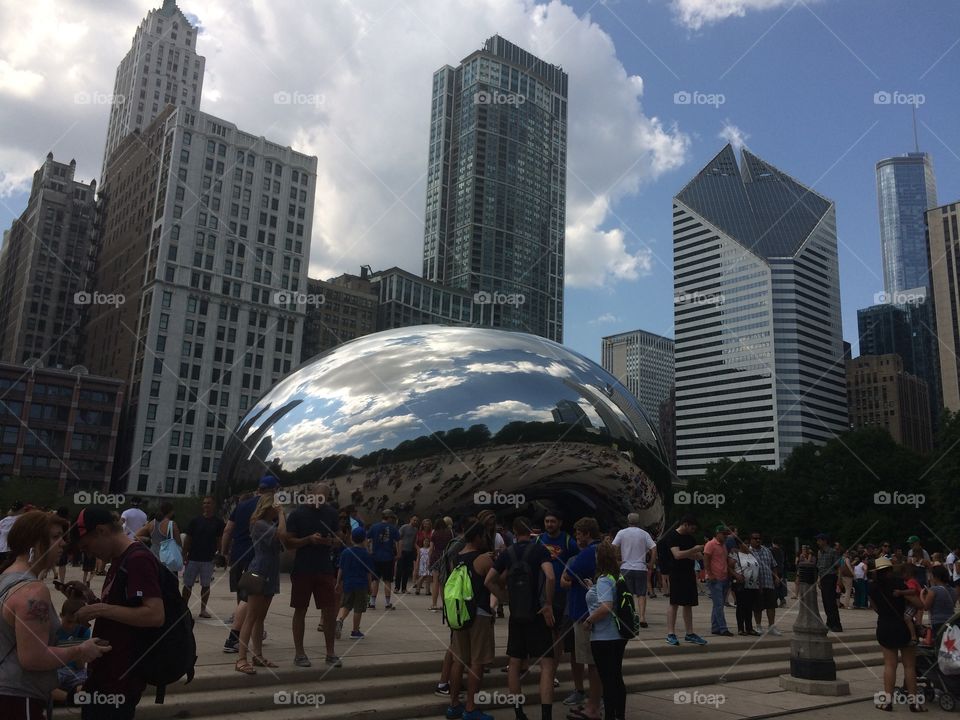 The bean