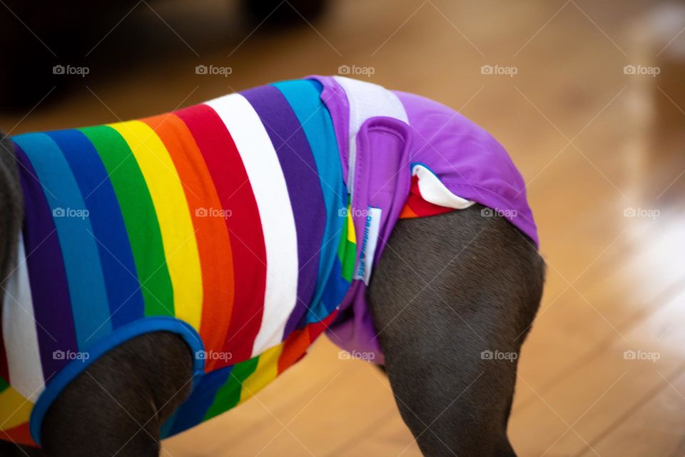 Colorful outfit of our youngest