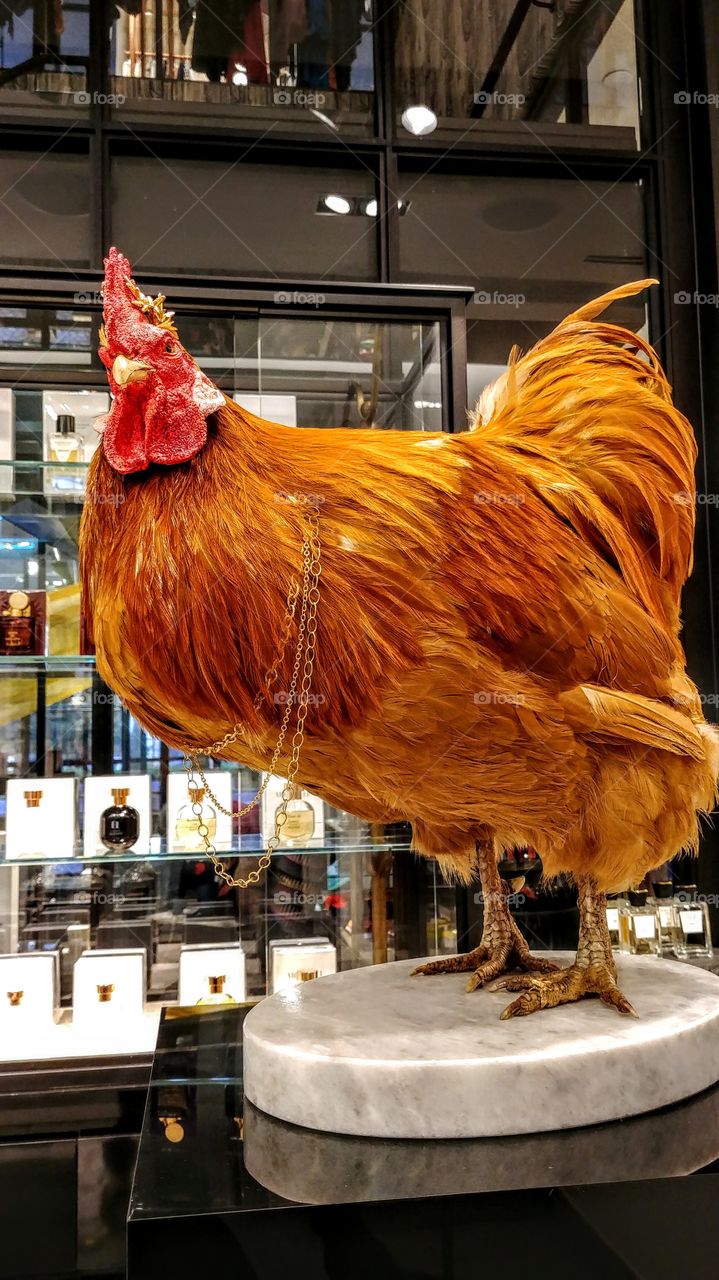 Rooster with accessories