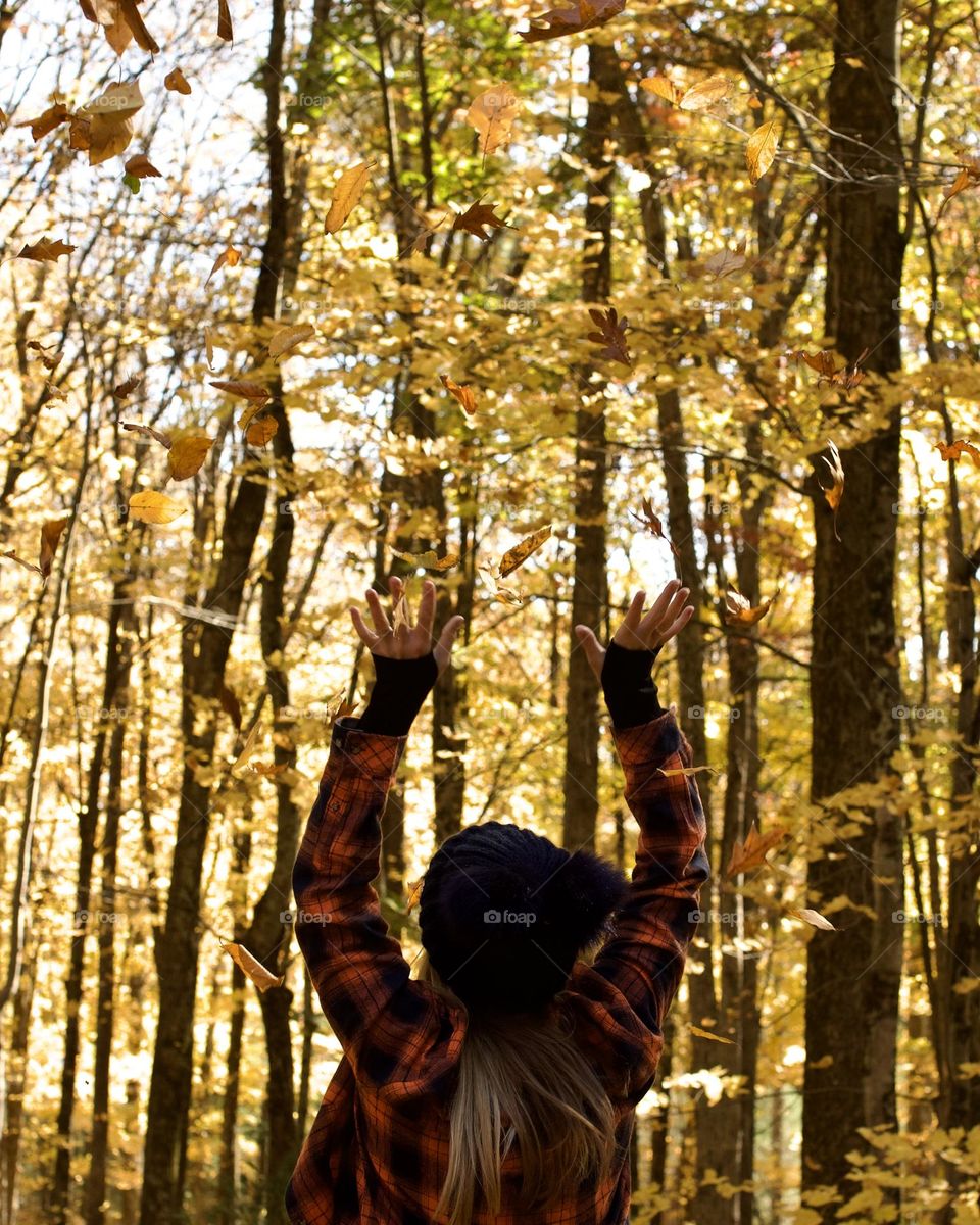 Golden Fall Leaves falling from the sky