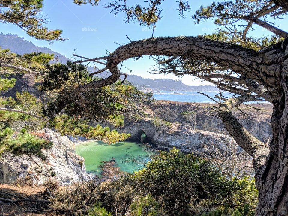 Point Lobos, California