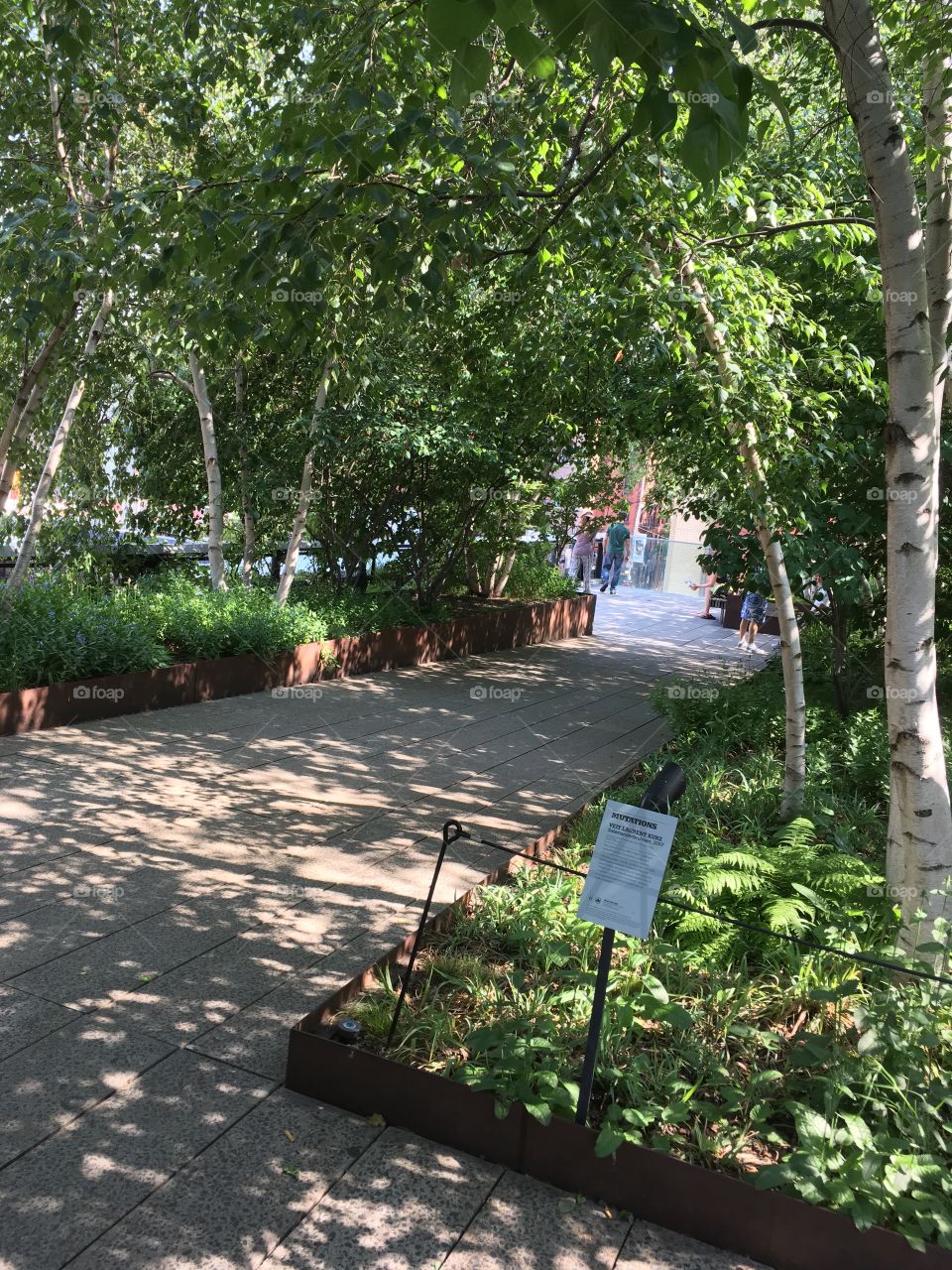 Garden, Tree, Environment, No Person, Leaf