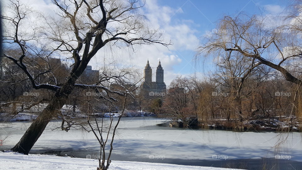 Winter View of NY City from Central Park