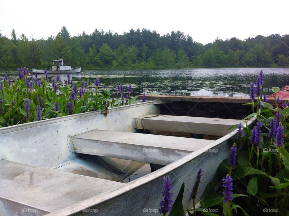 Maine pond