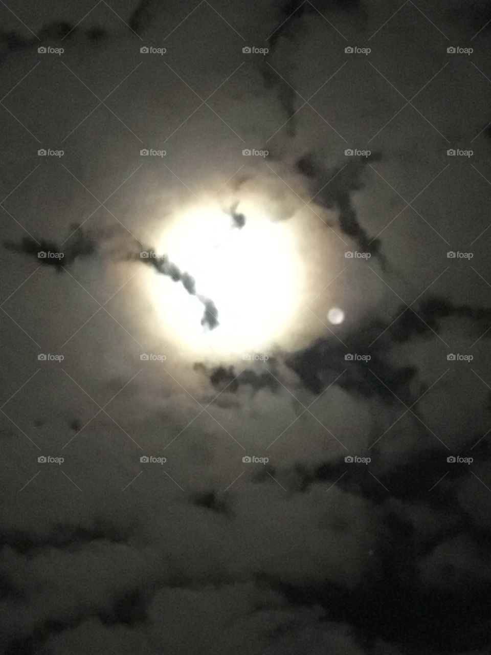 Full moon/dog moon