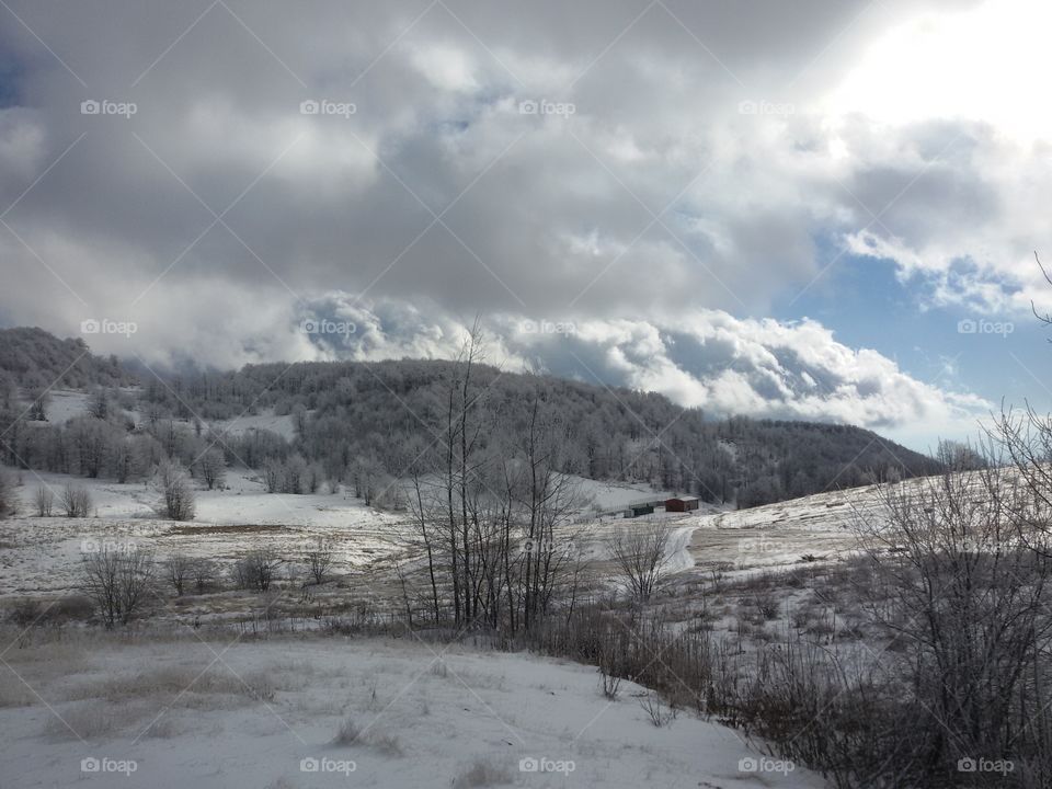 winter time landscape