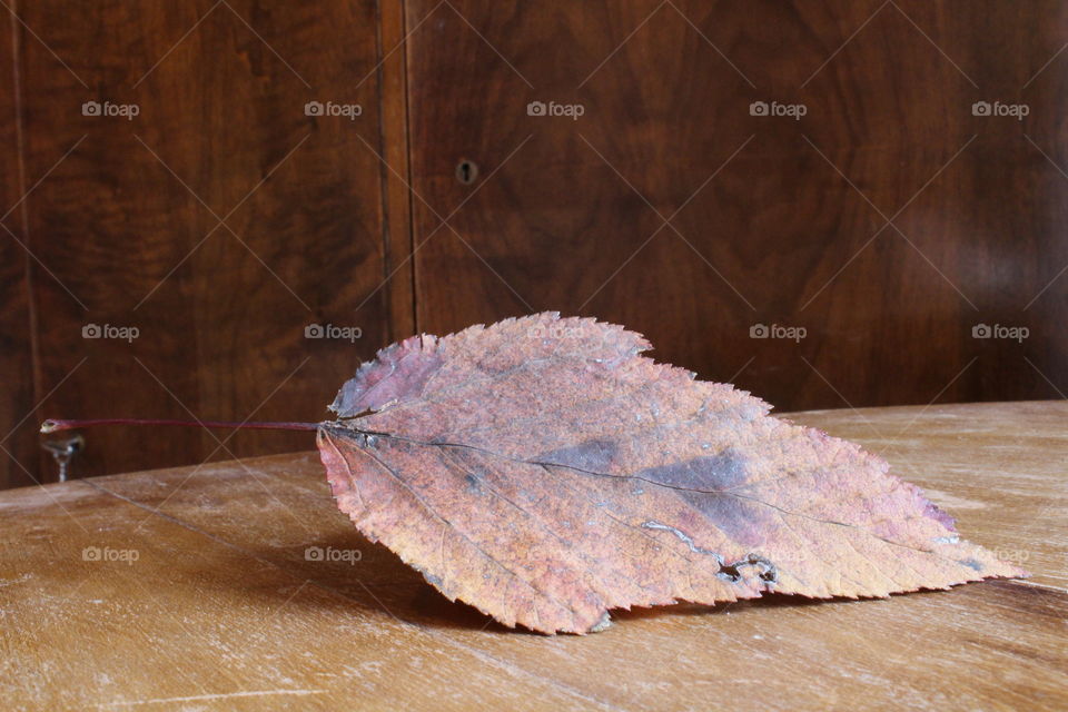 Autumn leave on wooden table