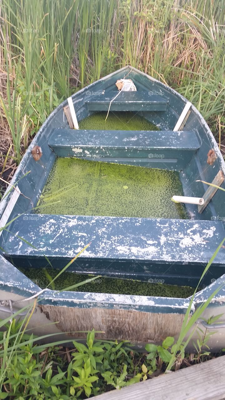 rowboat. Nichwagh Lake, South Lyon, Michigan