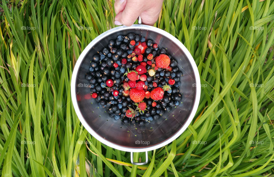 garden berries in a colla