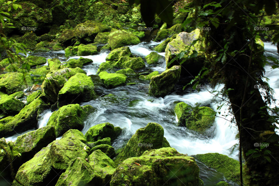 View of a river