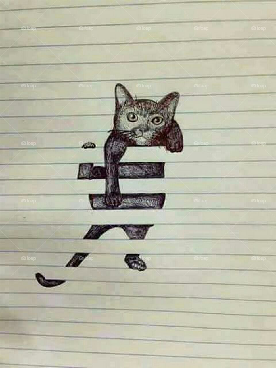 Optic illusion cat
