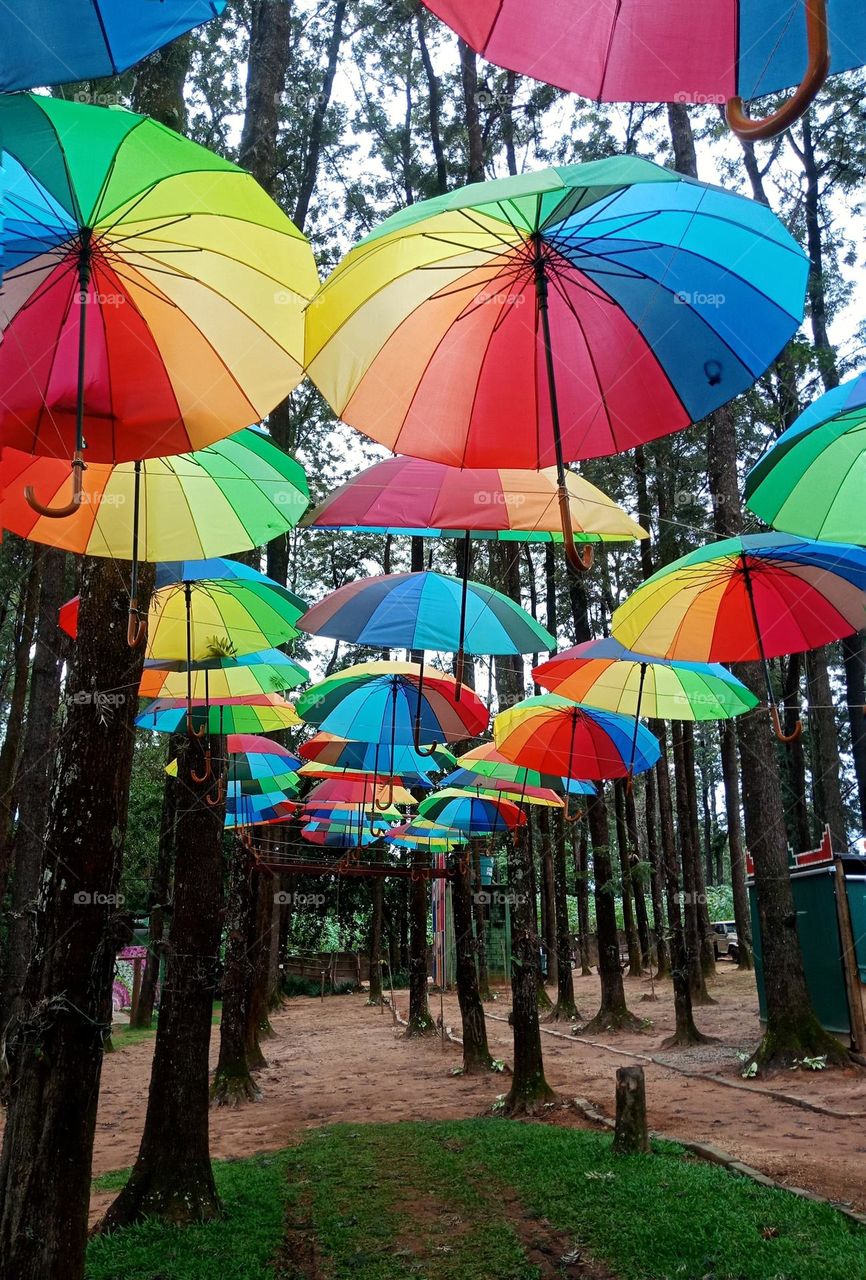 Pride colors umbrellas in the woods,  park