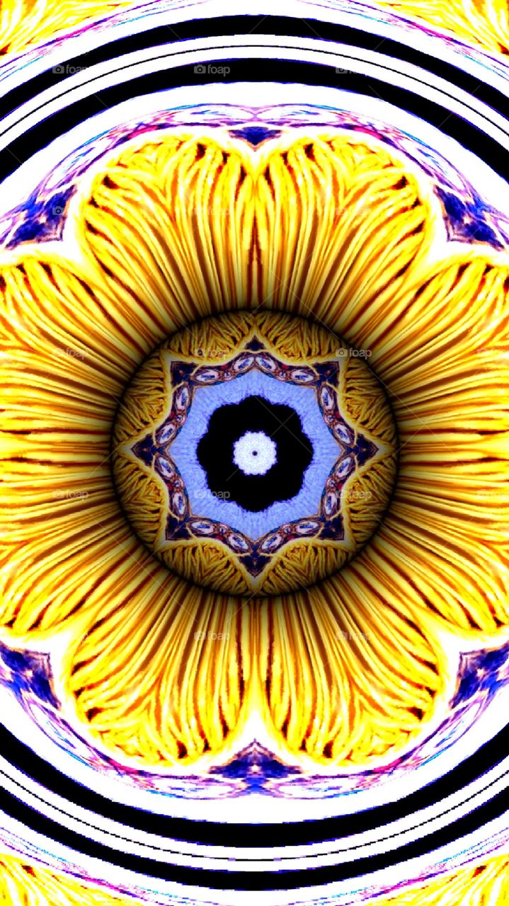 My creations and drawings