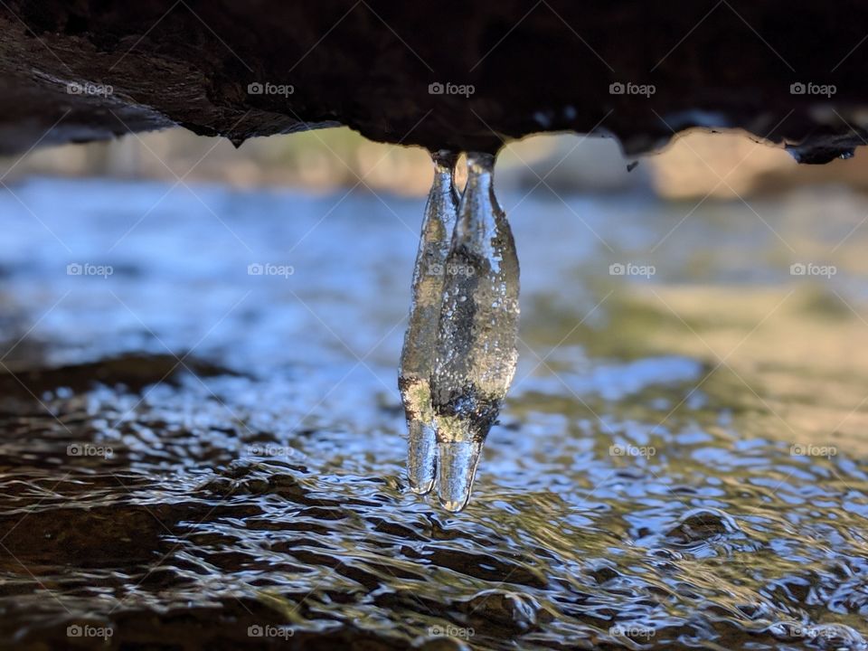 icicles hanging from tree over the river