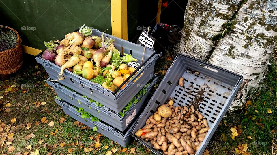 Street food on a autumn street market!