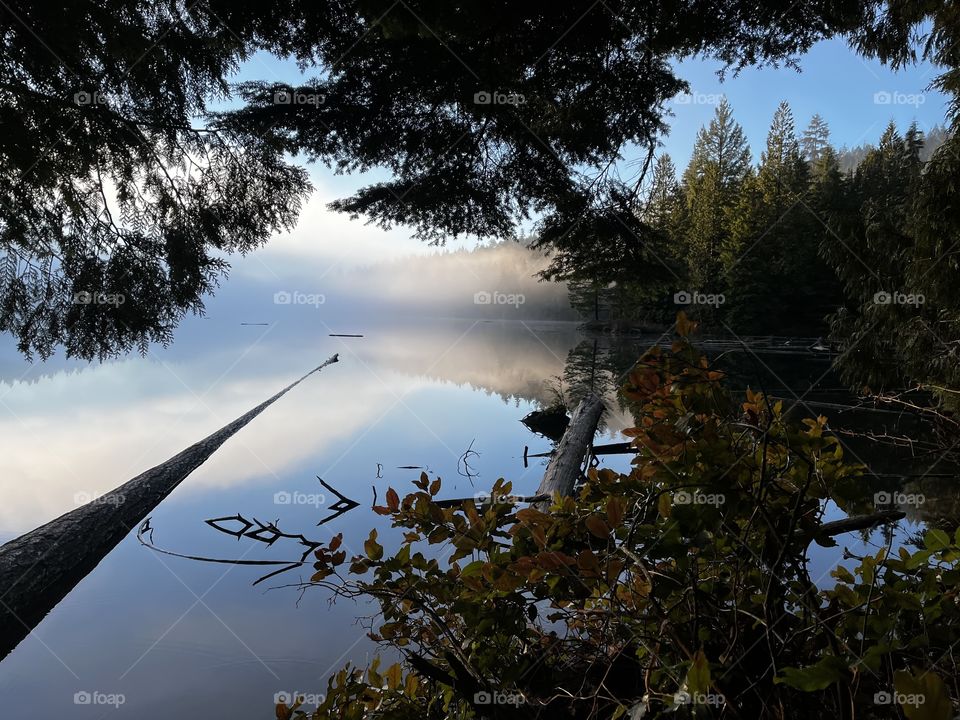 Misty morning peek a boo