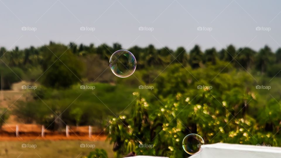 Soap bubbles floating in air