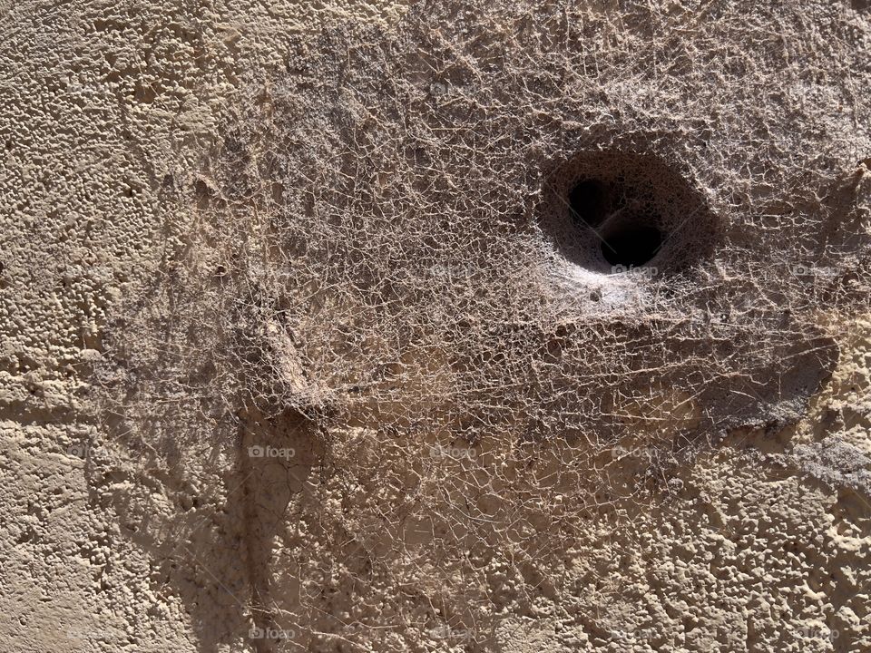 Grasshopper trapped in Australian Redback Spider web, sprawling from funnel like web and far reaching sticky tangled threads across outdoor cinderblock concrete wall, background with copy space, poisonous, urban wildlife, threats 