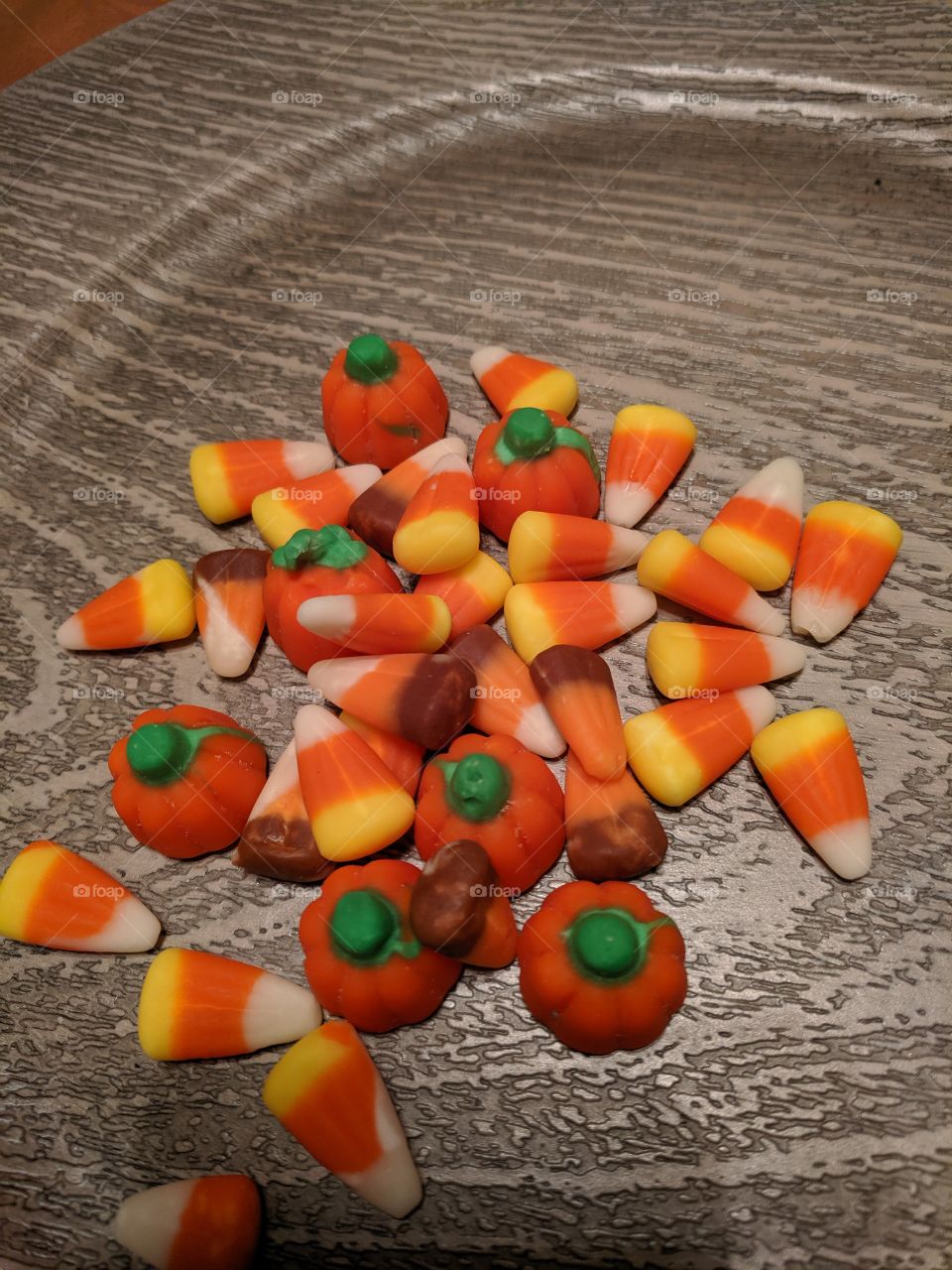 celebrating holloween