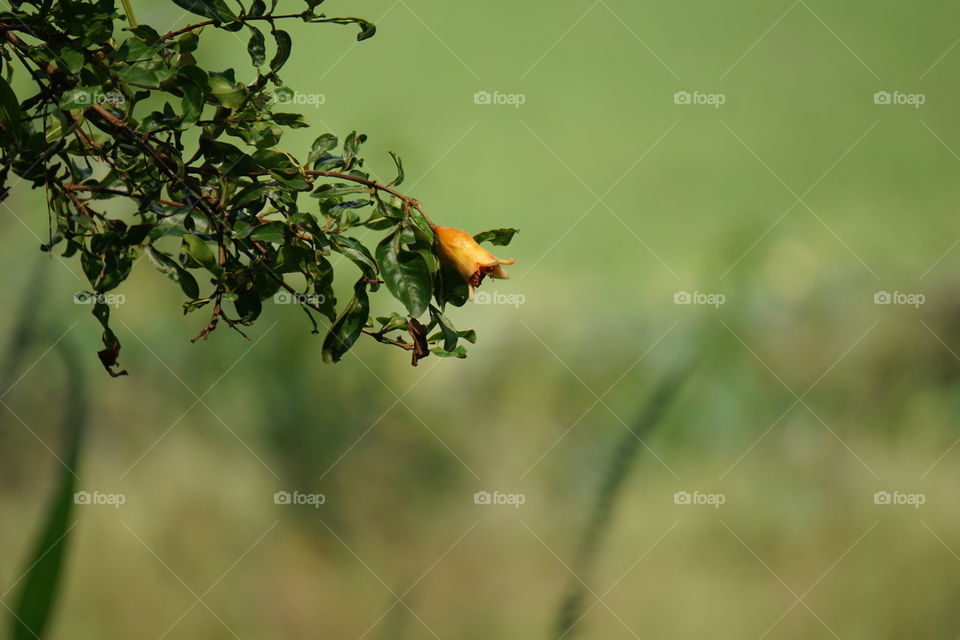 This is my first time