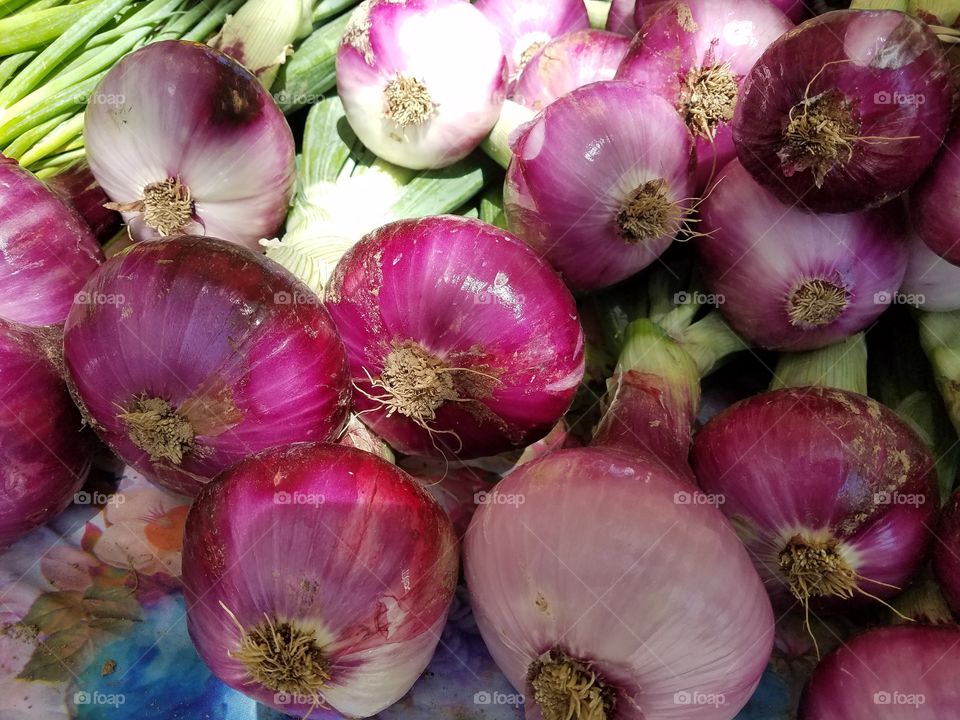 onions farmers market