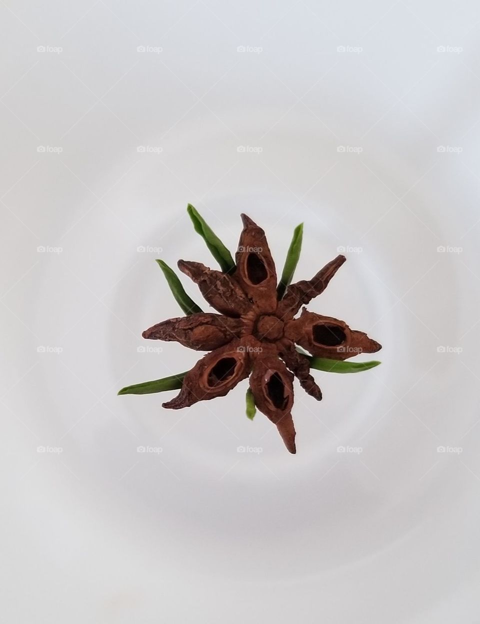 Star Anise Arrangement