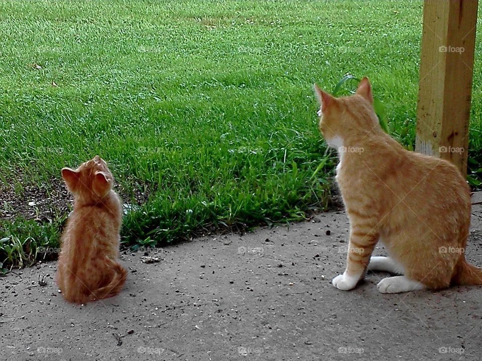 how can I get up there