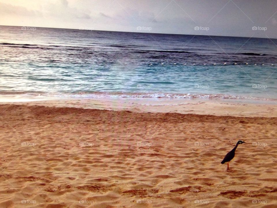 Beach scene