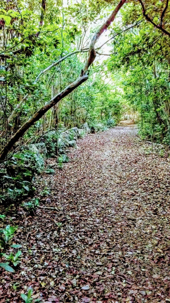 Trail with rocks on the left.