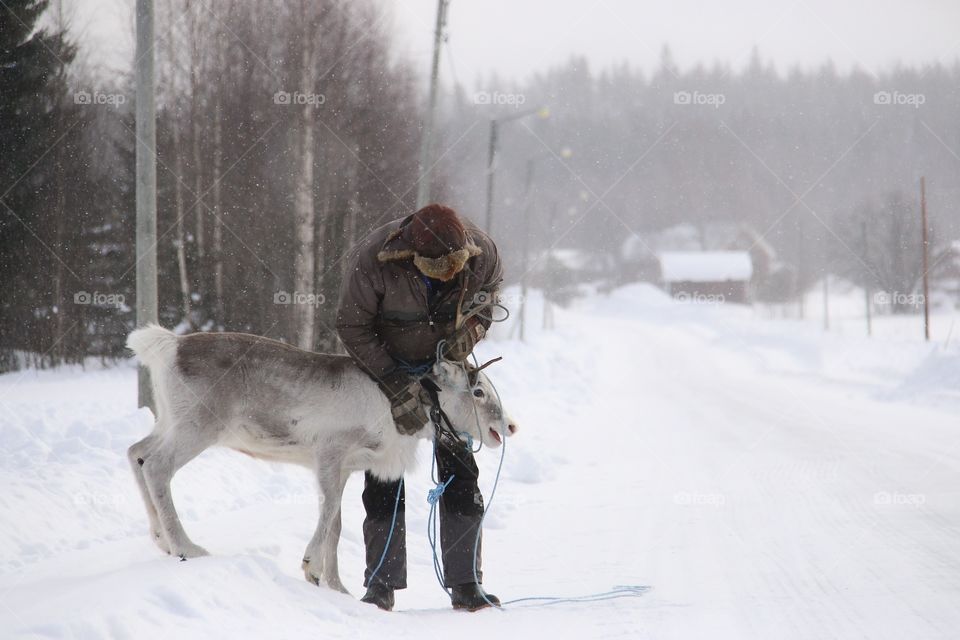 old man with reindeer