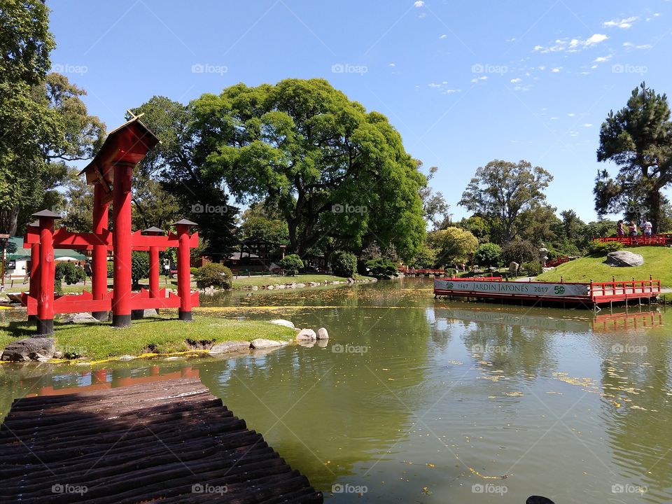 jardim japonês