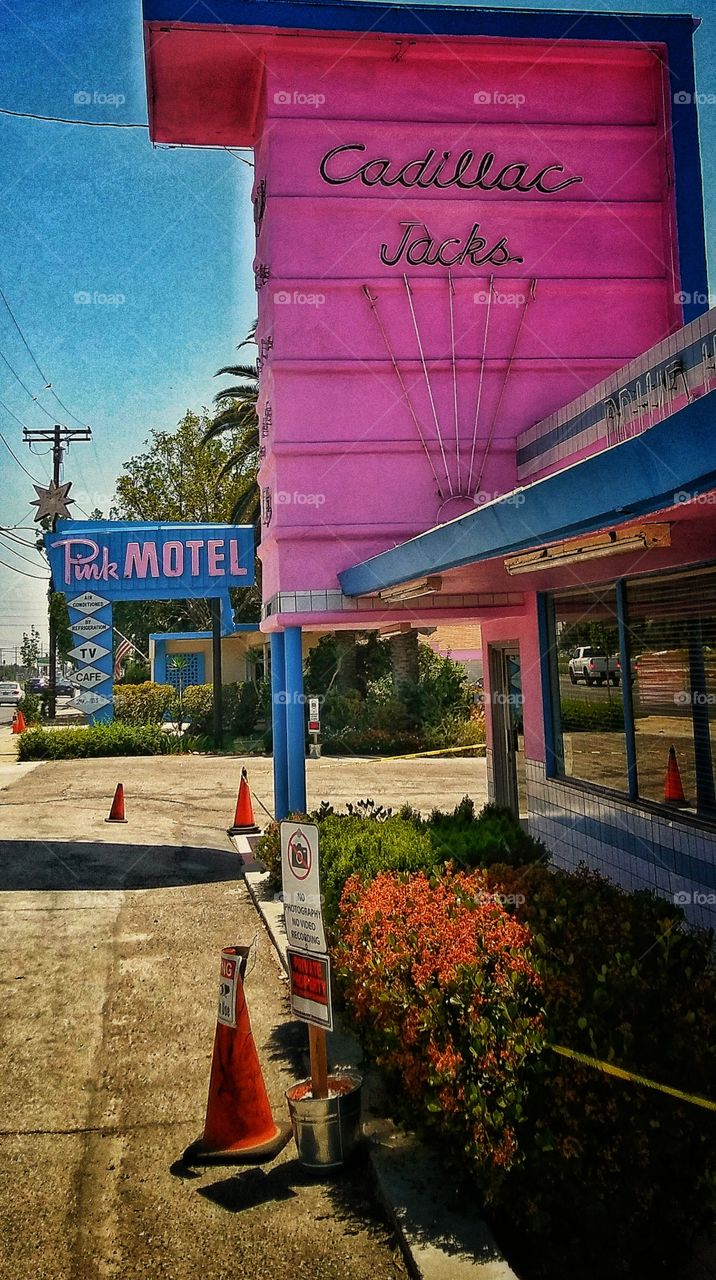 the Pink Motel LA