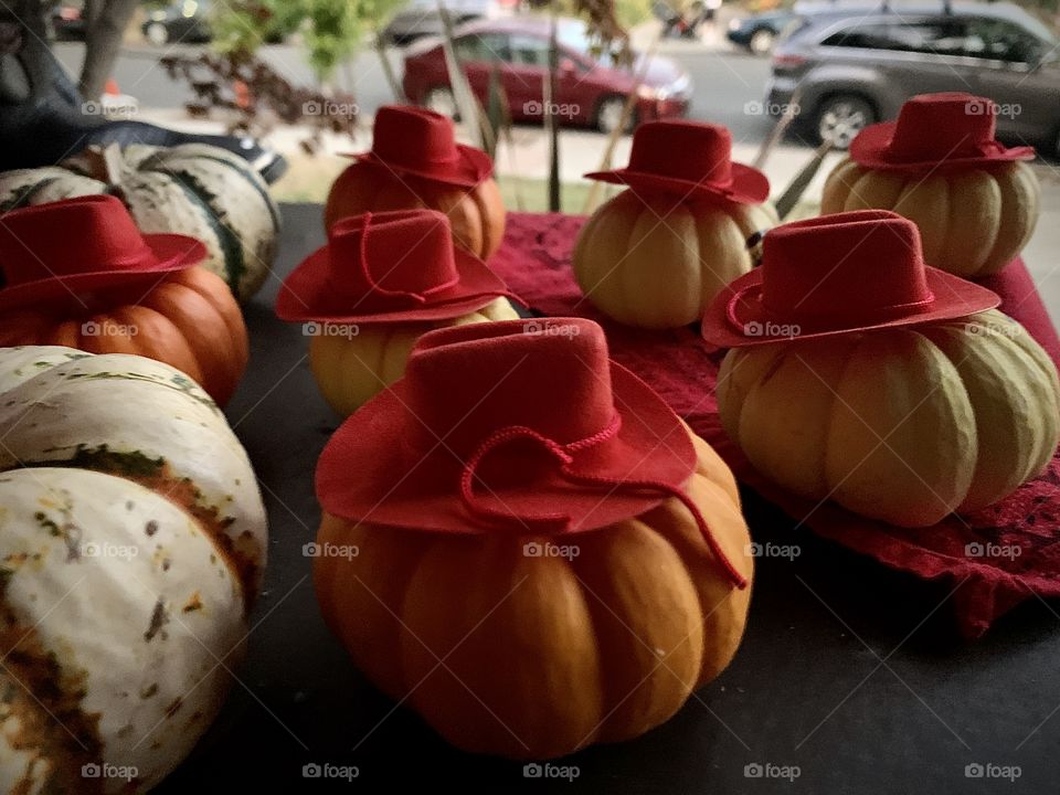 Pumpkins dressed as cowgirls 