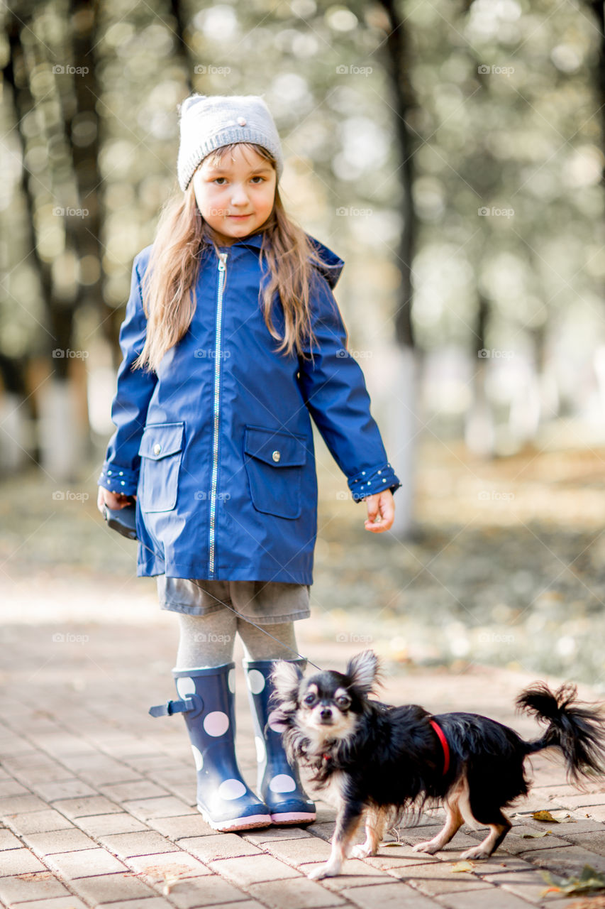 Little girl with umbrella in waterproof boots walking with chihuahua dog 