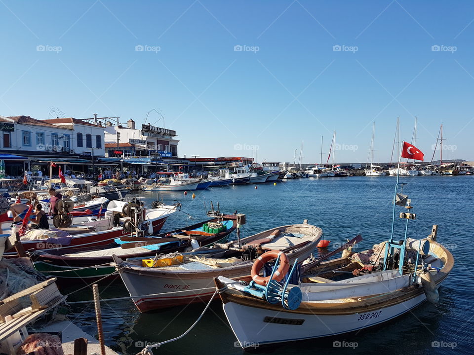 Urla