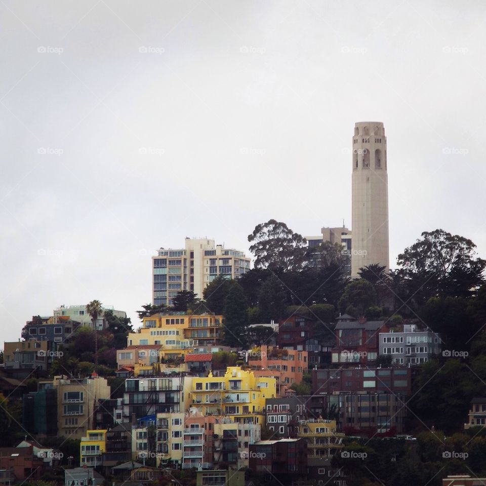 Coit Tower San Francisco 