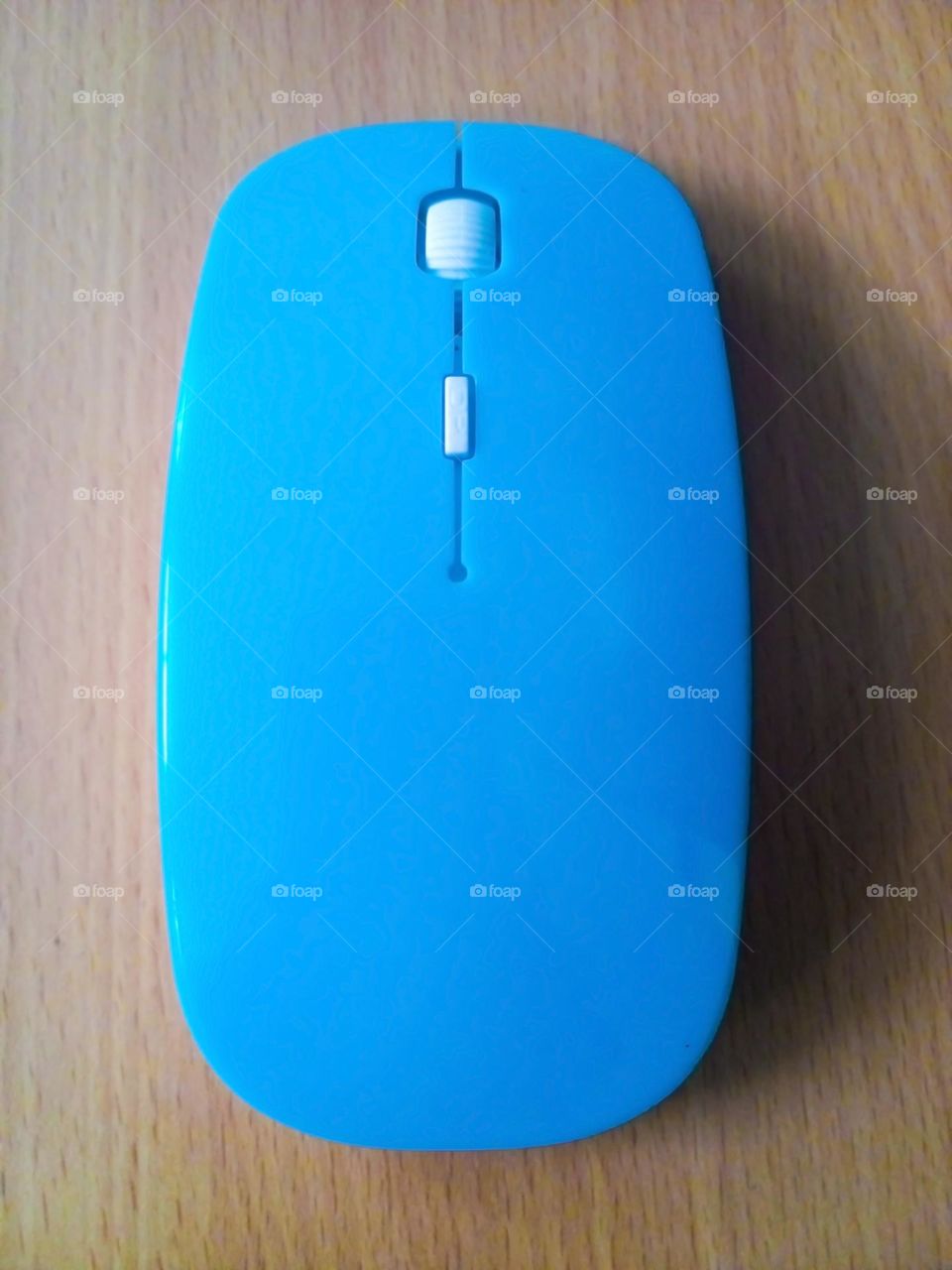 Mouse