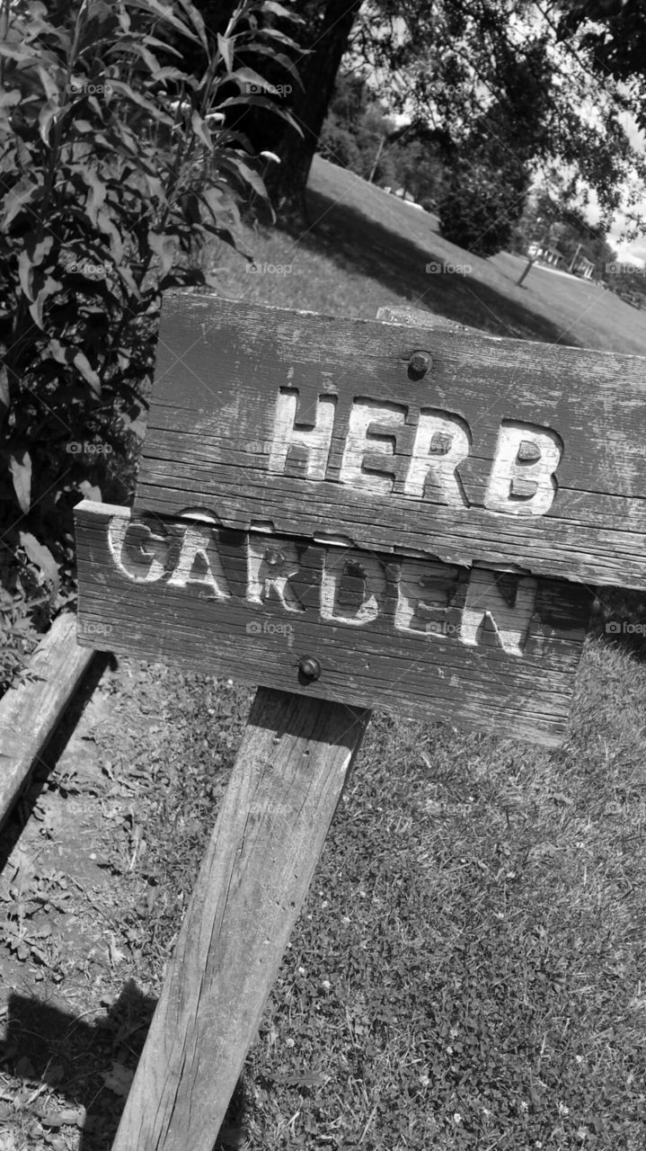 herb garden. Keener park