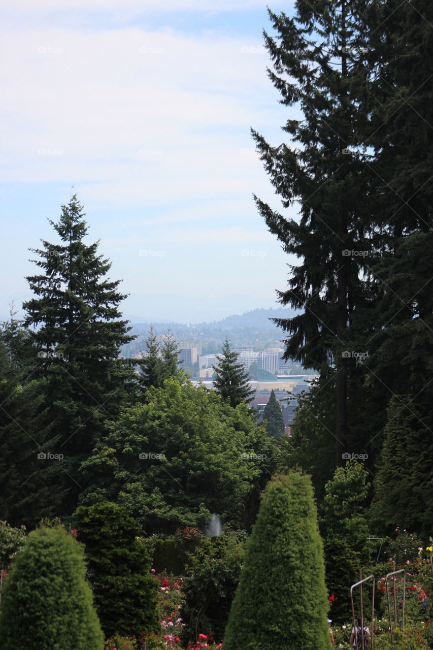 Portland, Oregon. View of Portland, Oregon from inside the International Rose Garden