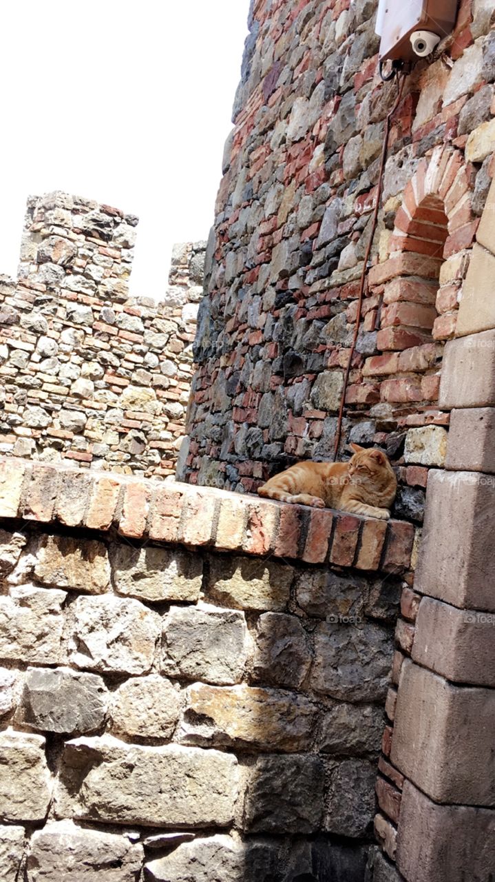 Stone, Old, Wall, Architecture, Building