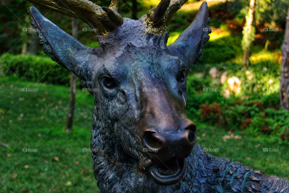 deer