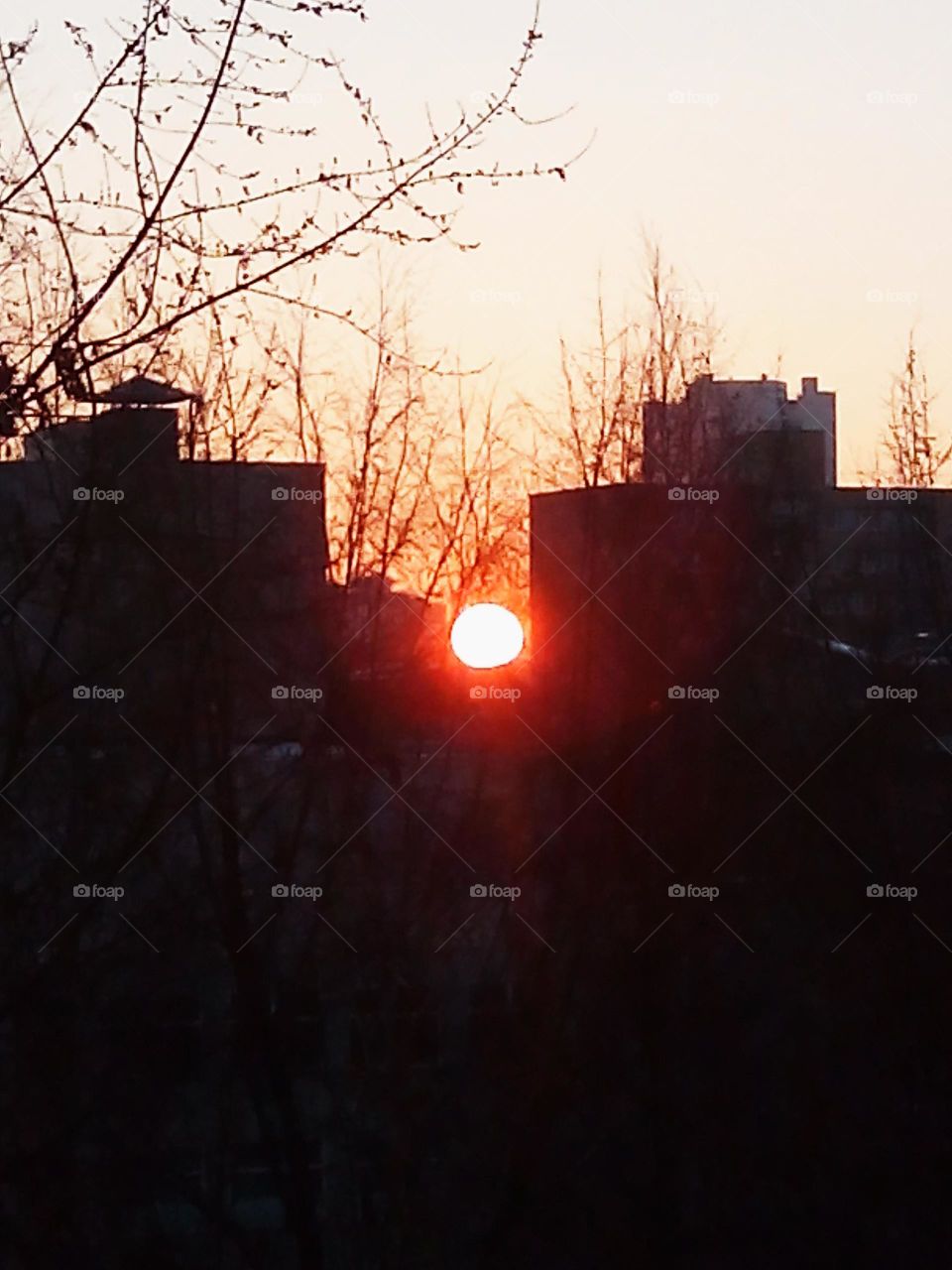 sunset on the street houses