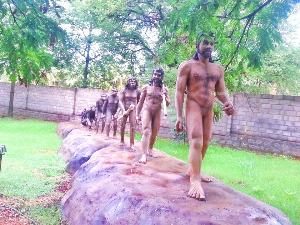 monkey to man. man's growth